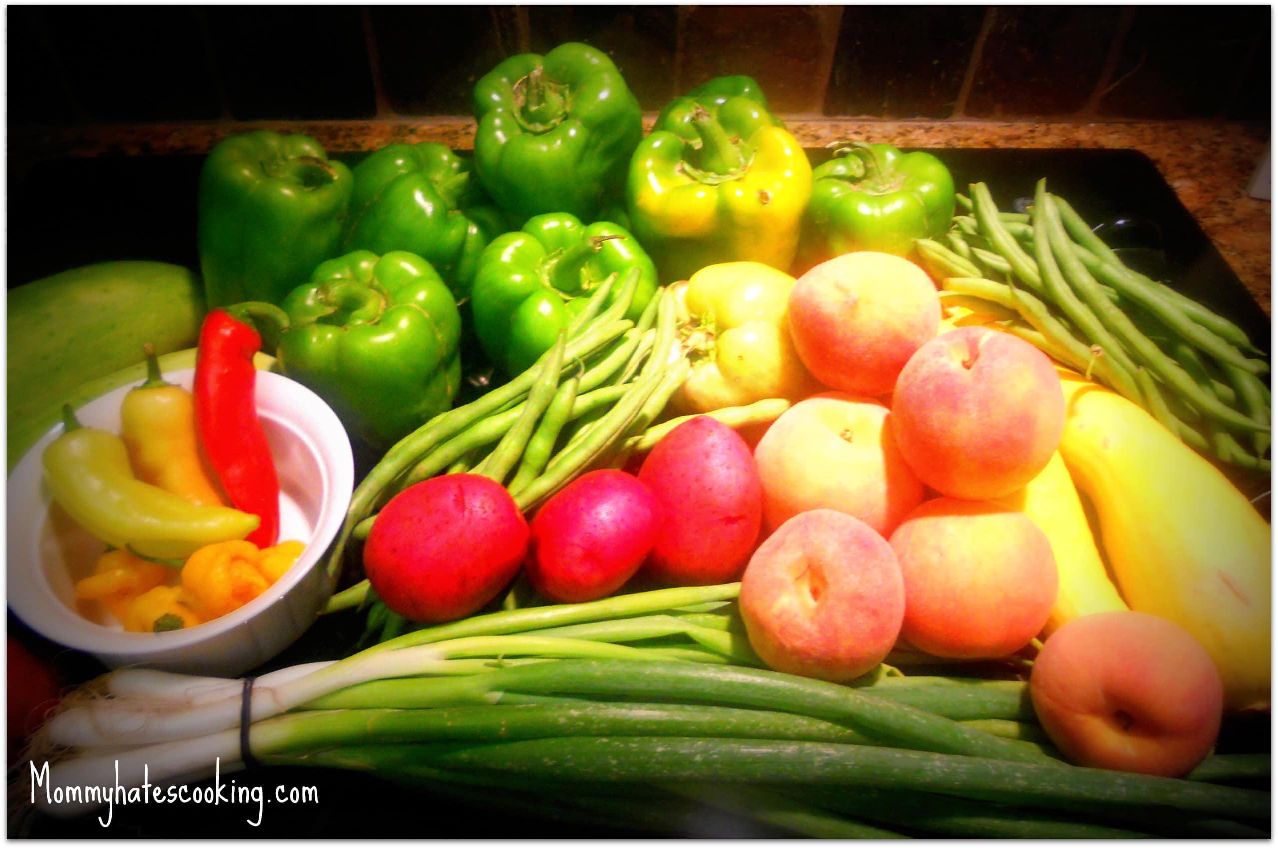 Gardening: We Are New