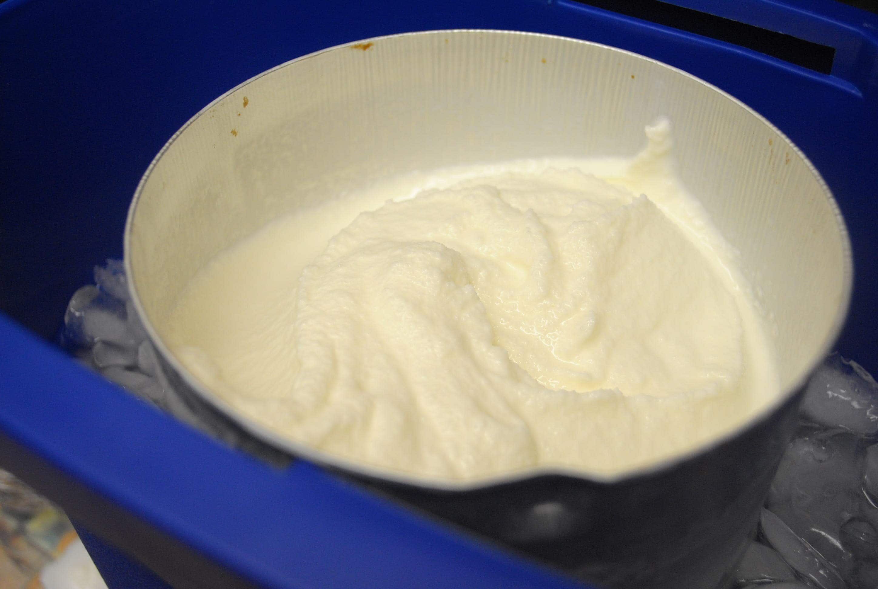 Low Fat Homemade Vanilla Ice Cream