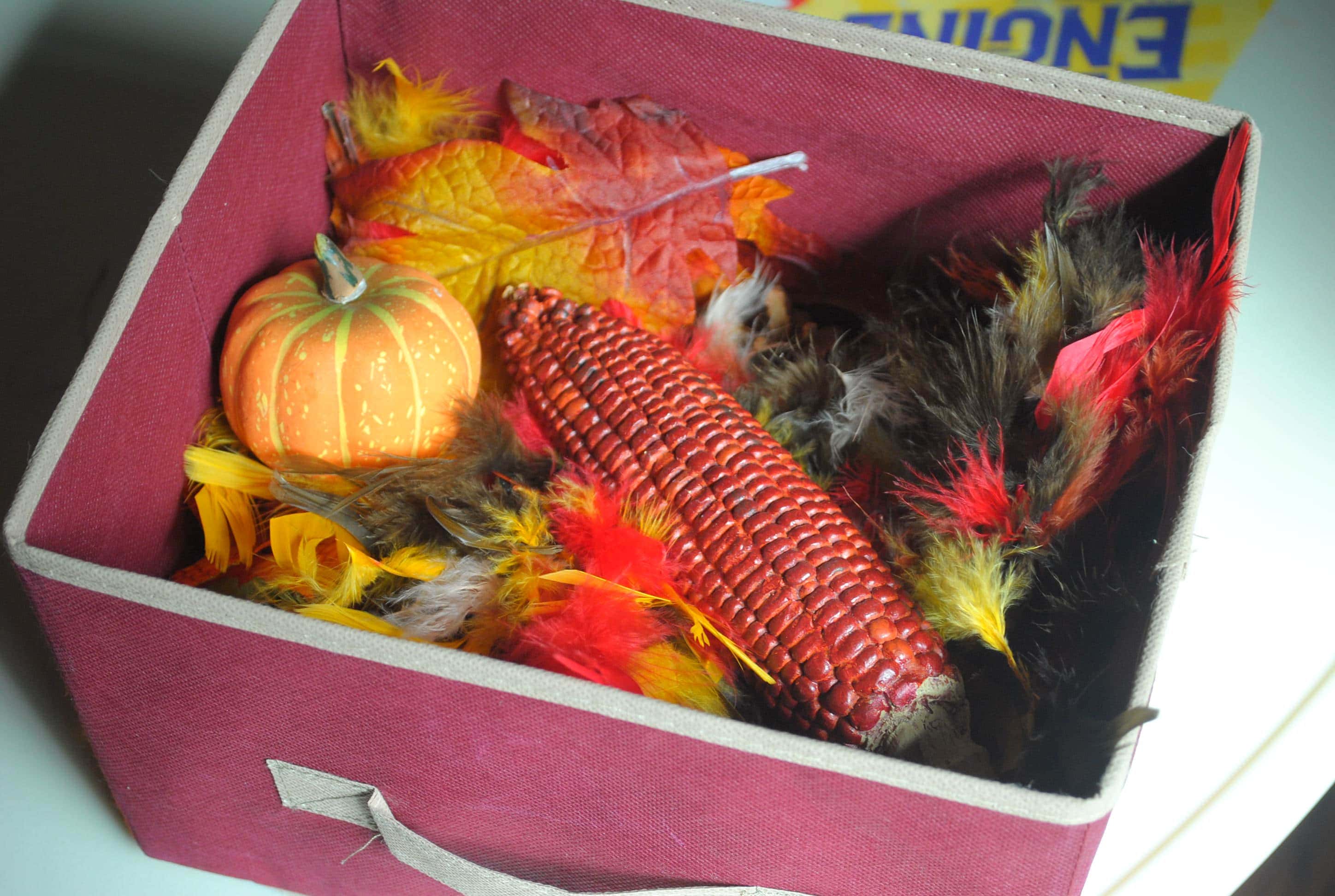 Pinterest Project: Fall Sensory Tub