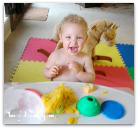 Recipe Lion: The Kid’s Table