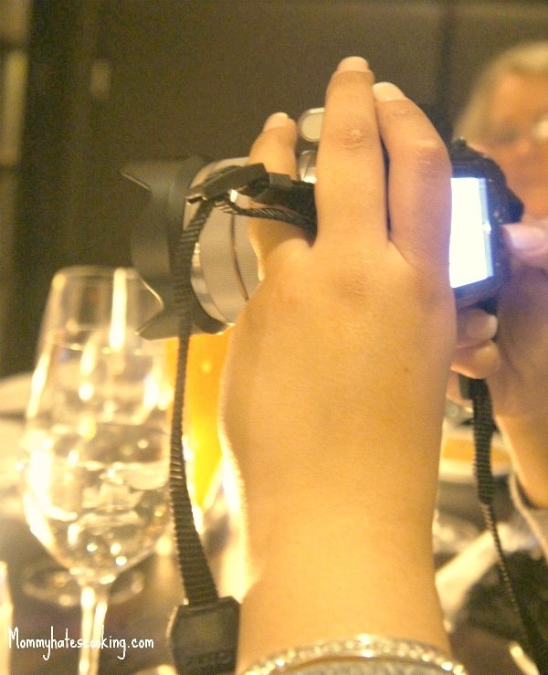 Sony Nex-3 DSLR and My Love Affair