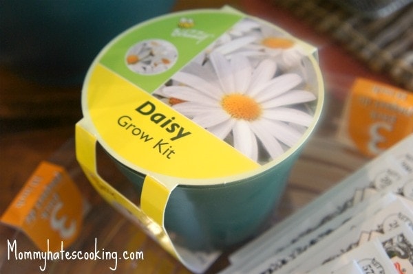 Gardening 2012