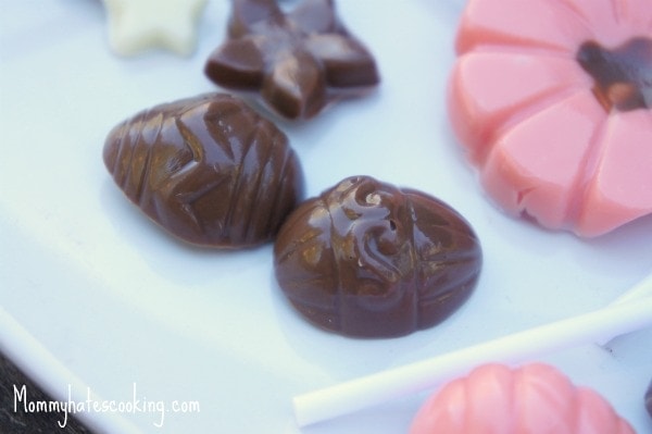 Wilton Spring Candy Making Kit