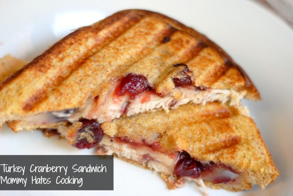 Turkey Cranberry Sandwich with Wonder Bread