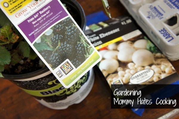 Gardening Update
