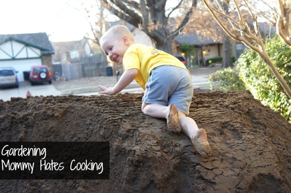Dirt Load in the Garden
