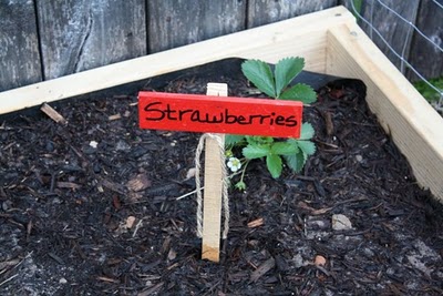 Creative Garden Marker Idea
