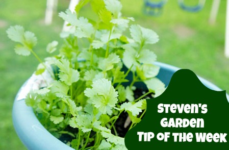 Steven’s Tip of the Week: All About Manure