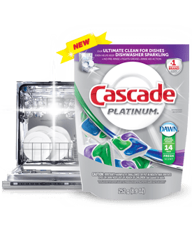 Cascade Platinum Dishwasher Overhaul