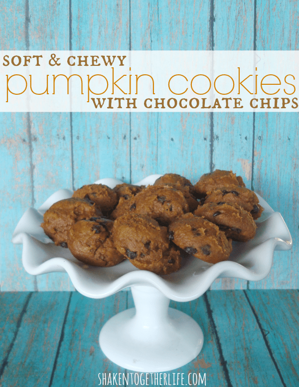 Soft & Chewy Pumpkin Cookies & Make Bake Create