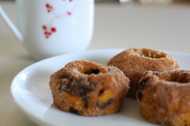 Pumpkin Chocolate Chip Doughnuts & Make Bake Create