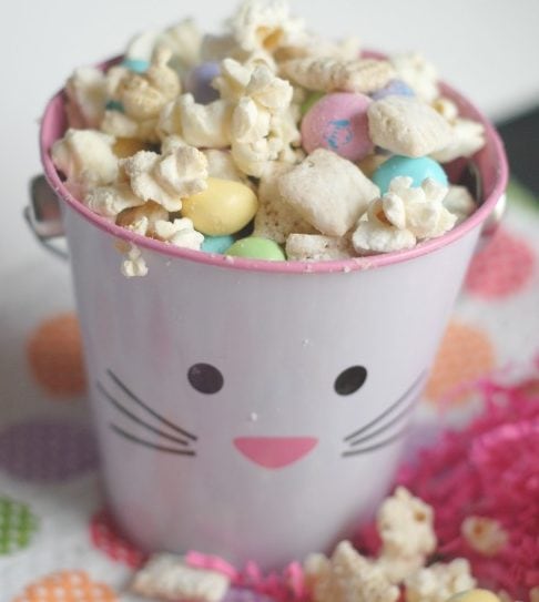 Spring Puppy Chow Mix