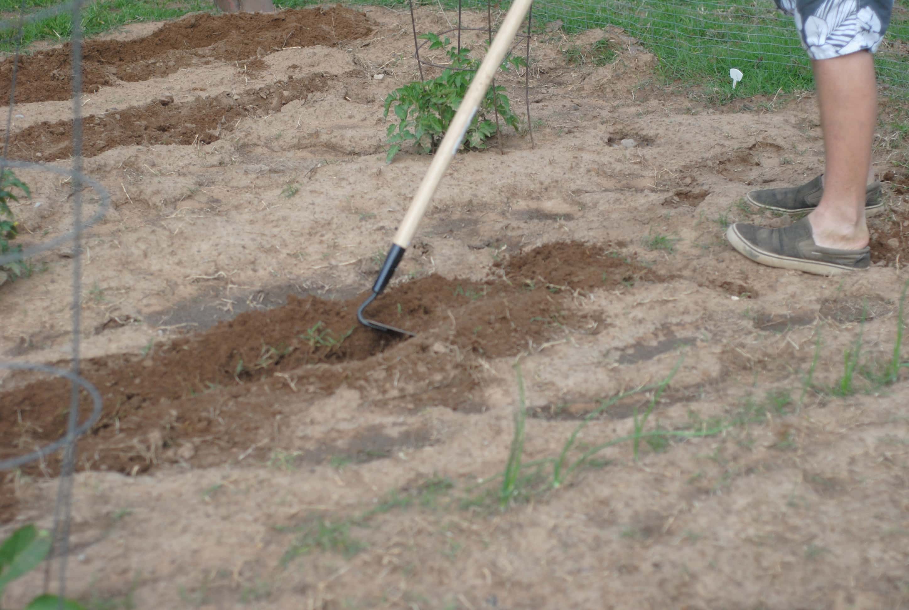 Our Garden is Planted 2014