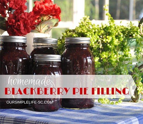 Blackberry Pie Filling & Make Bake Create