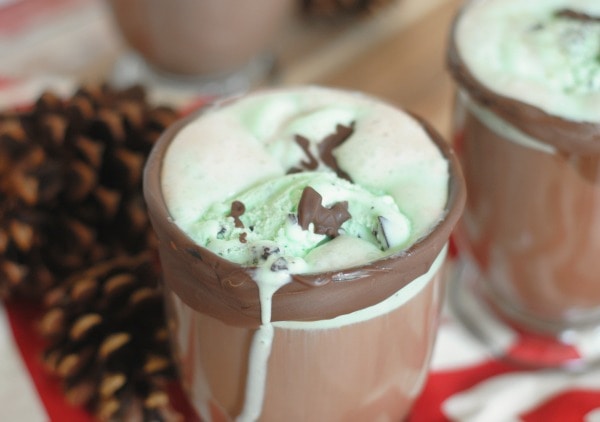Hot Chocolate Floats