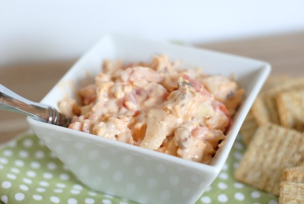 Bacon Cheddar Onion Dip