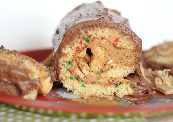 Chocolate Covered Peanut Butter Jelly Roll