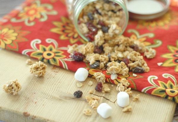 Granola Trail Mix