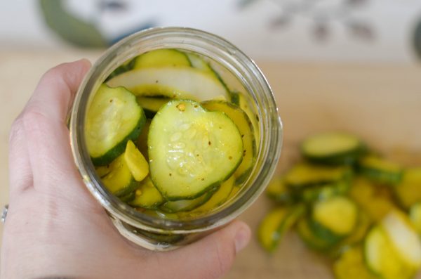 Easy Refrigerator Pickles I Hegub