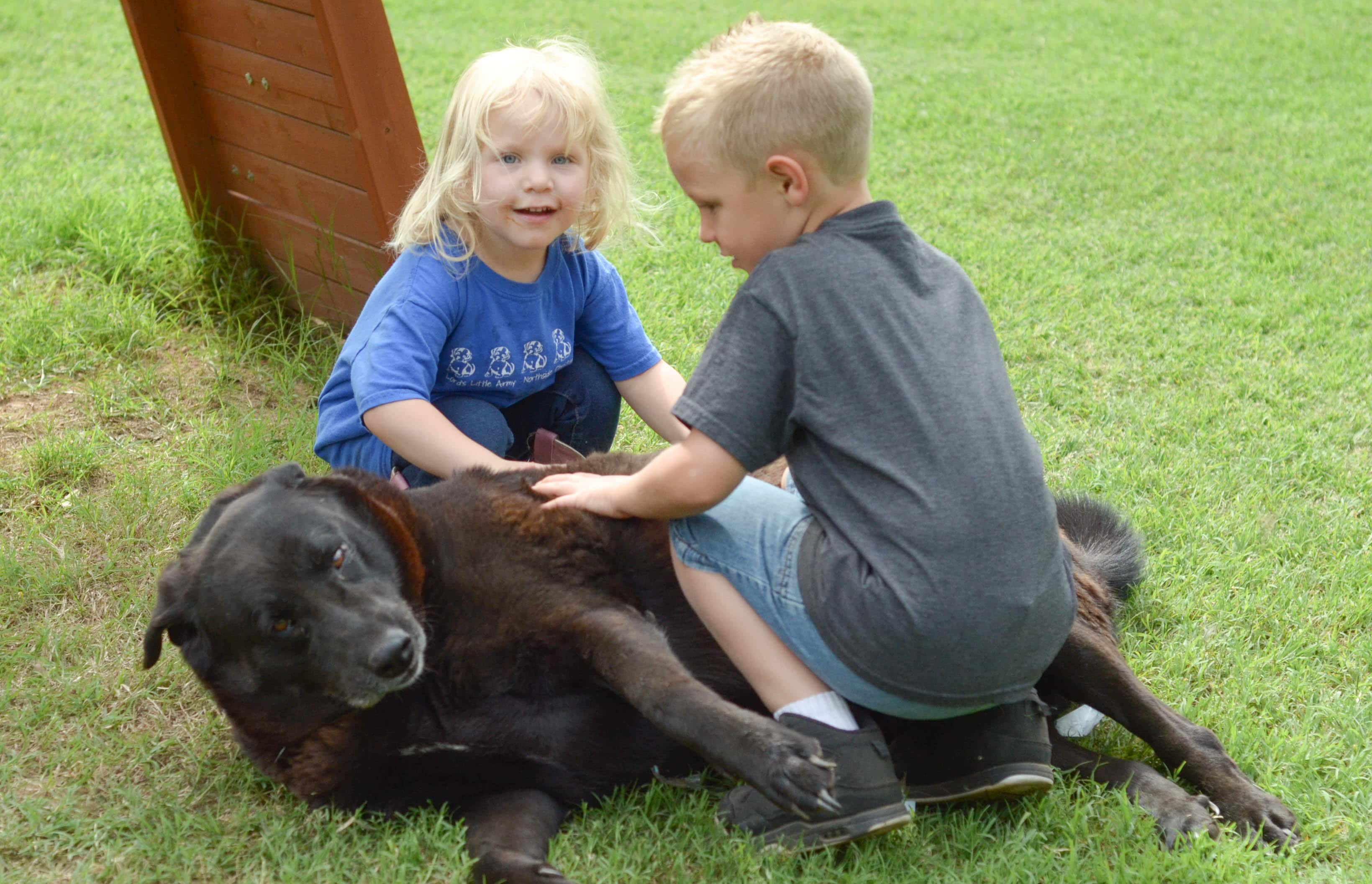 Summertime with Our Dog & IAMS