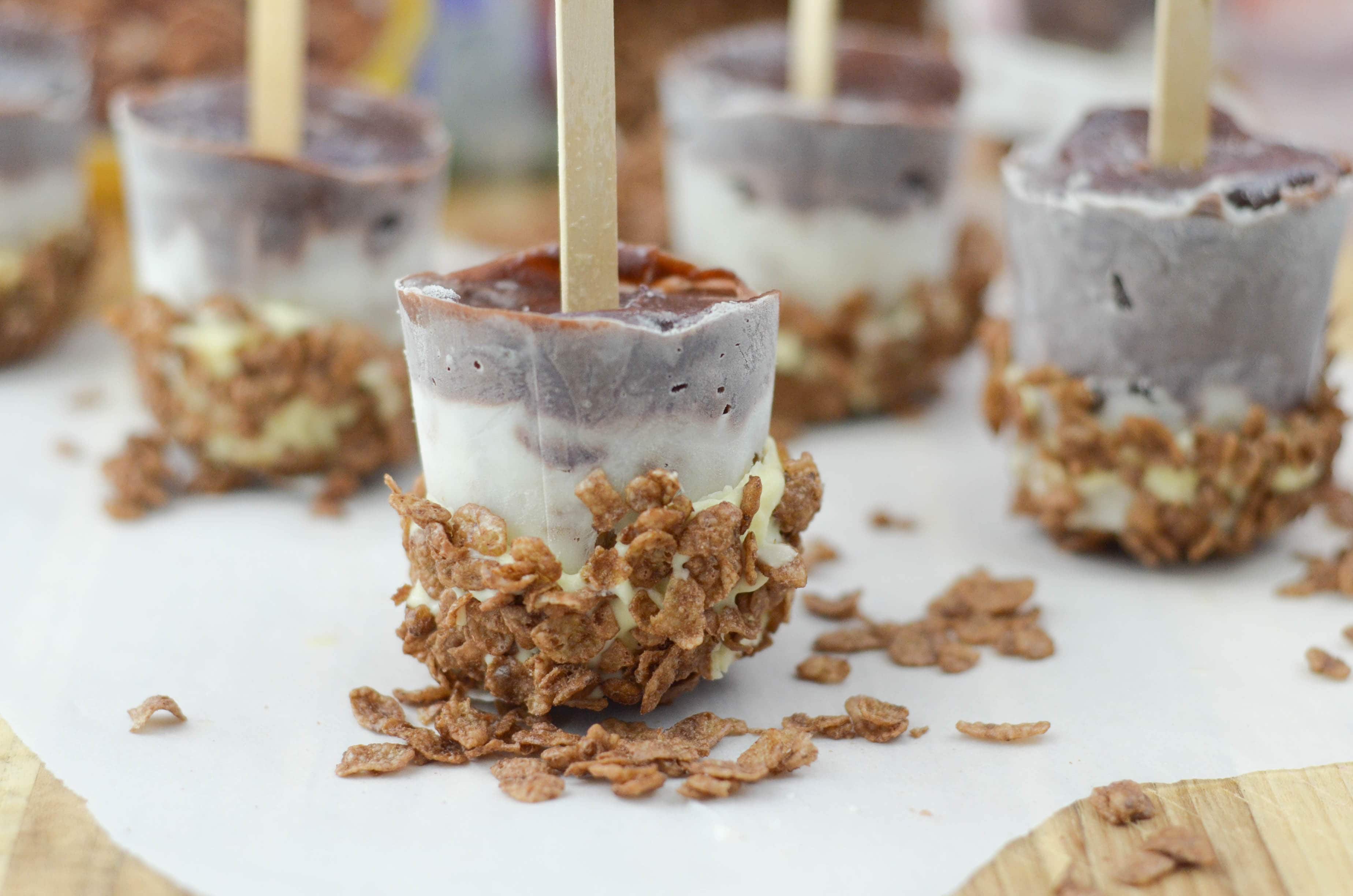 Cocoa Pudding Pops