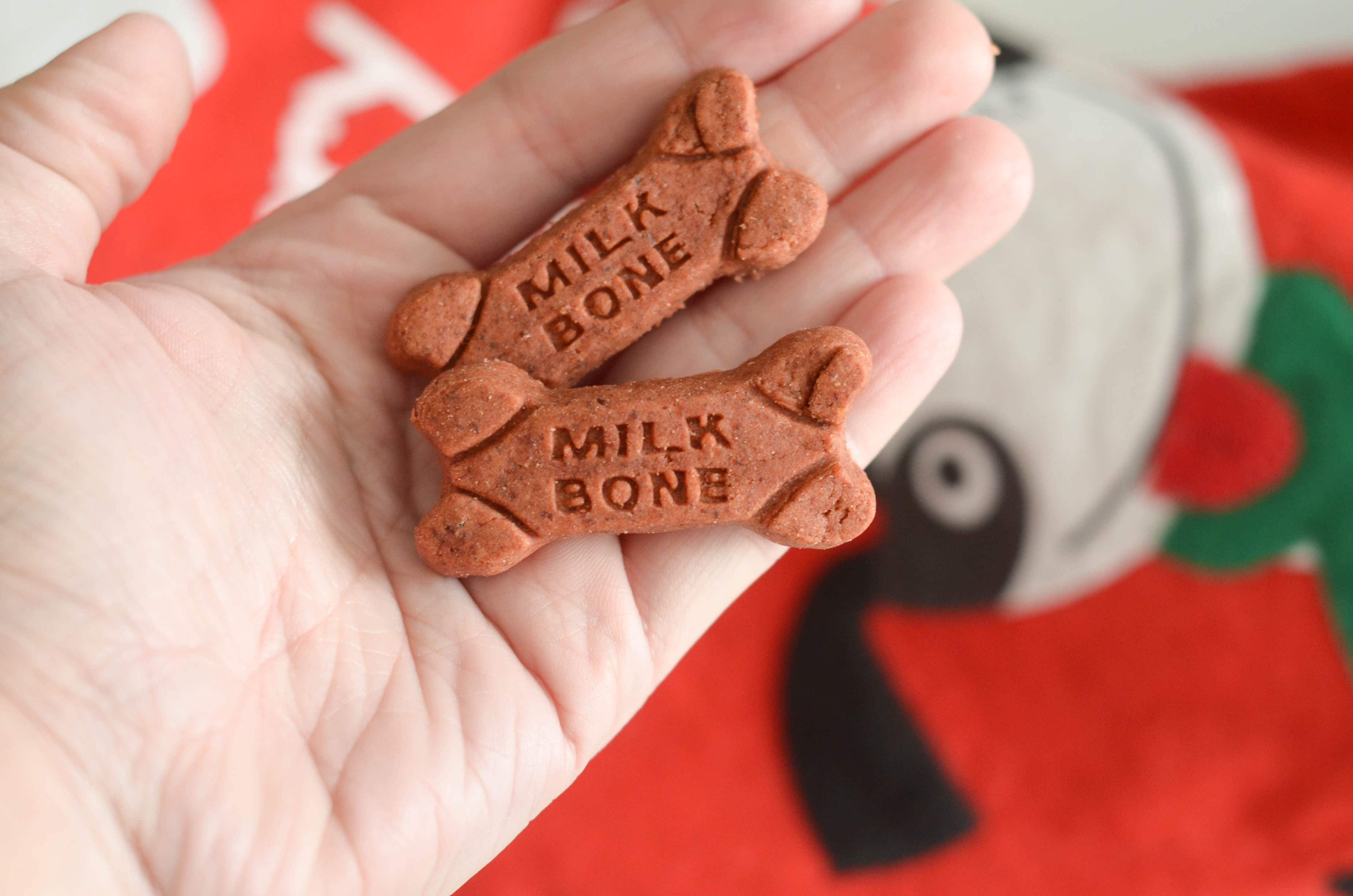 Stockings of Love for Your Furry Friend