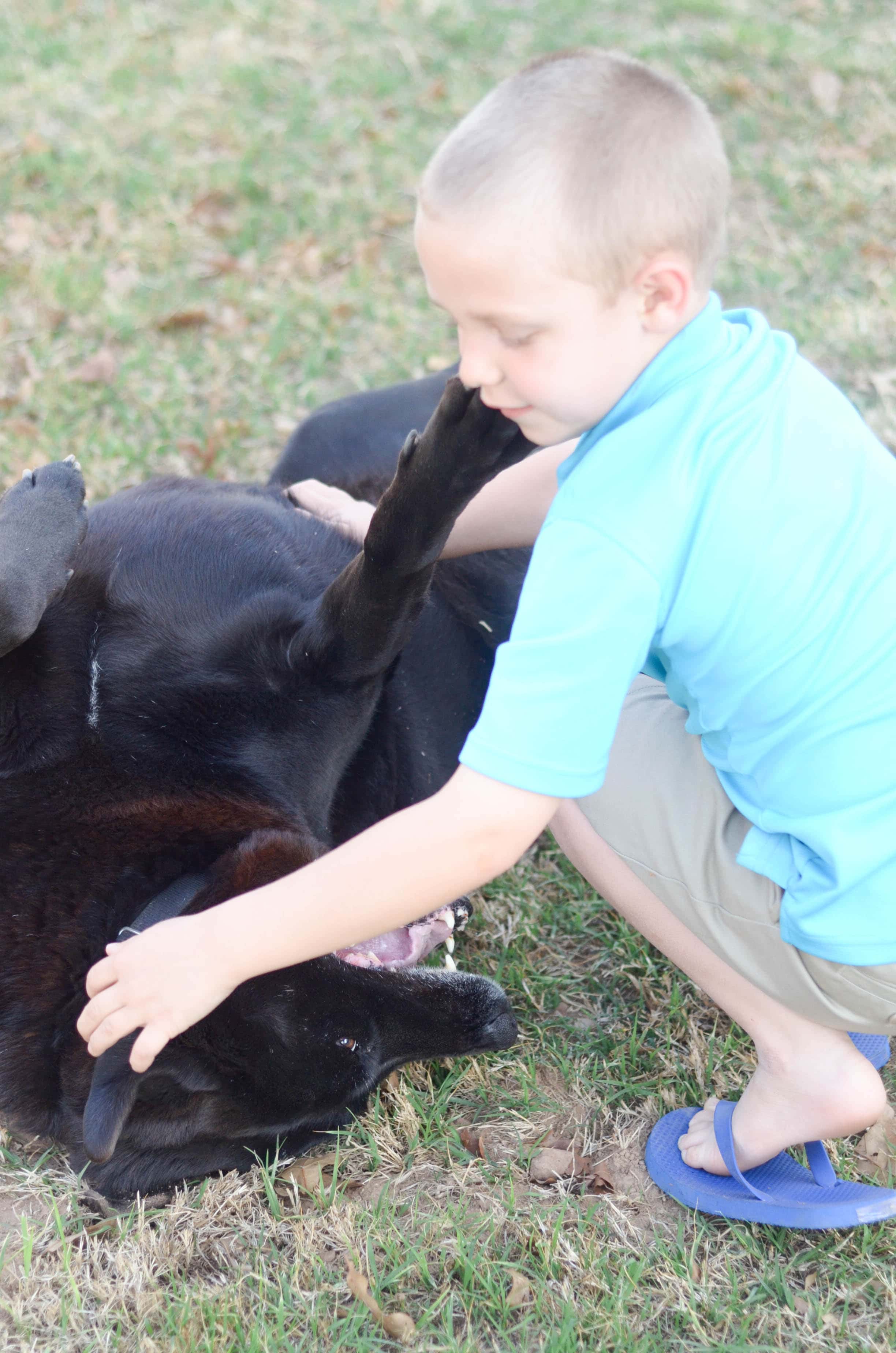 Happiness with Your Fur Baby & Luvsome