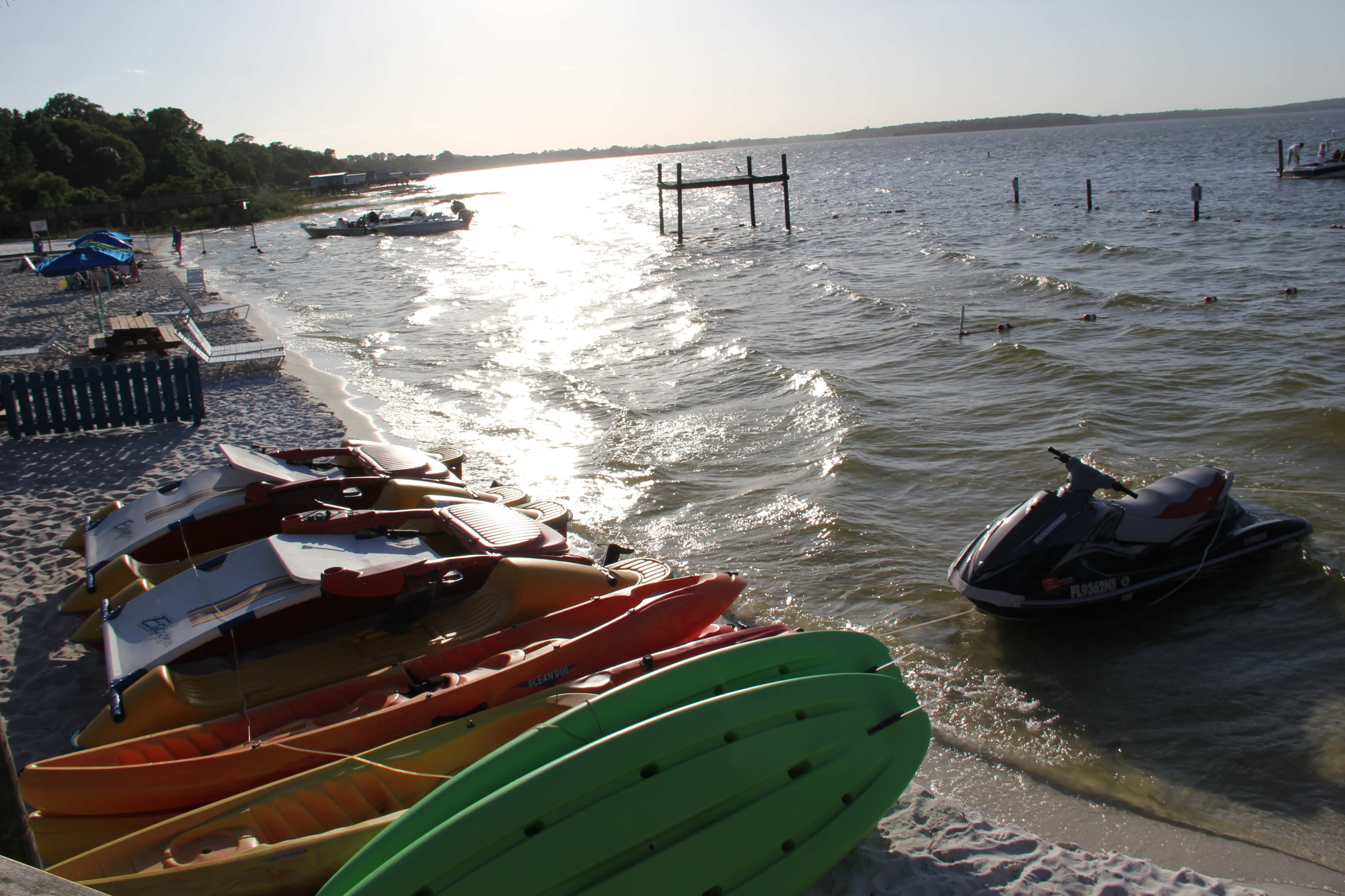 Adventure Awaits in Ocala Marion County
