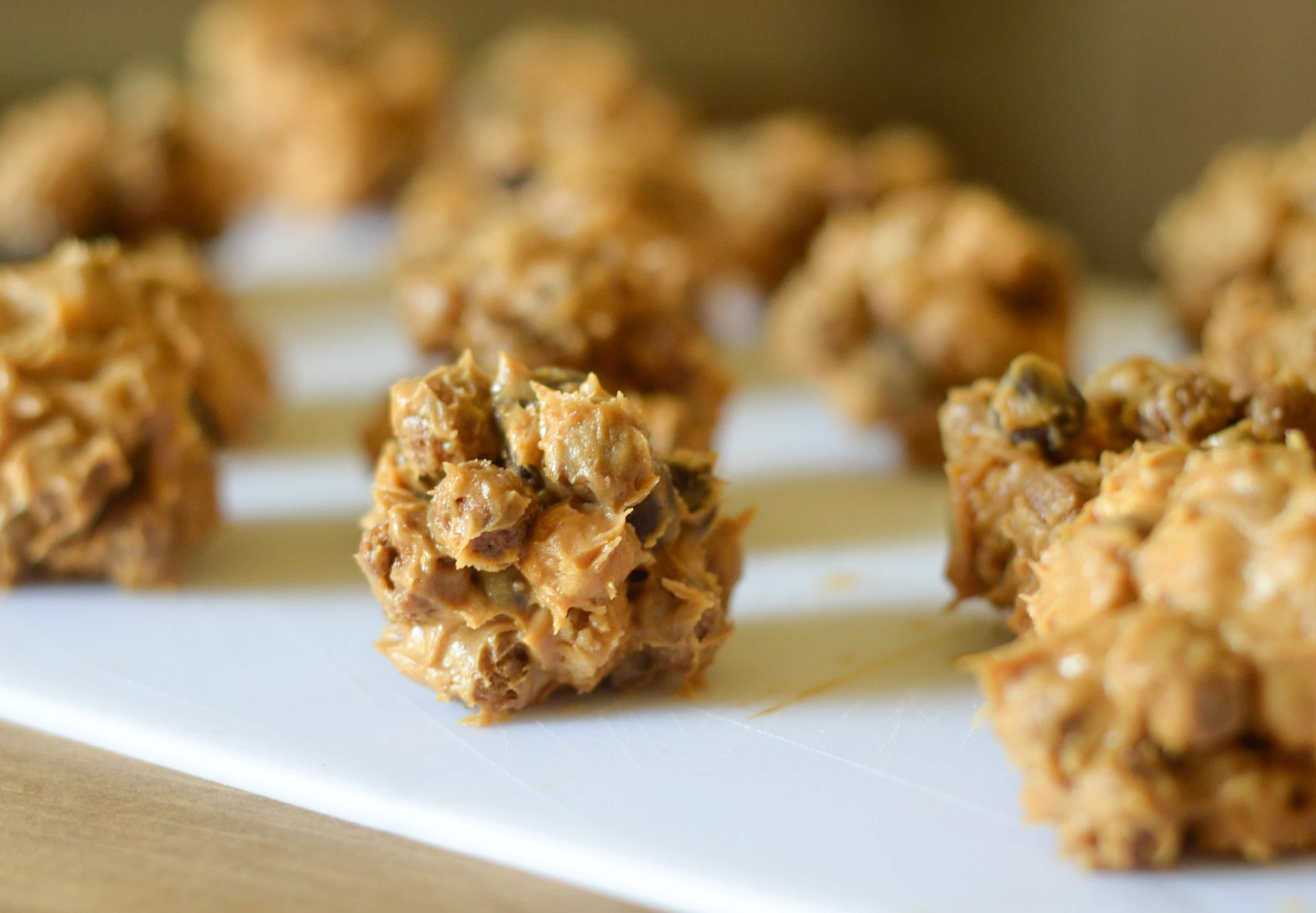 Peanut Butter Cup Protein Balls