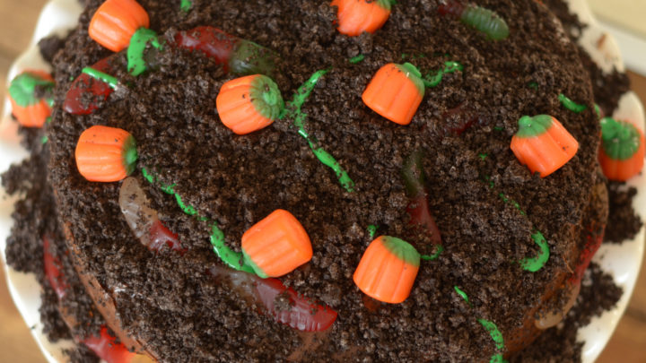 Image for Pumpkin Patch Cake