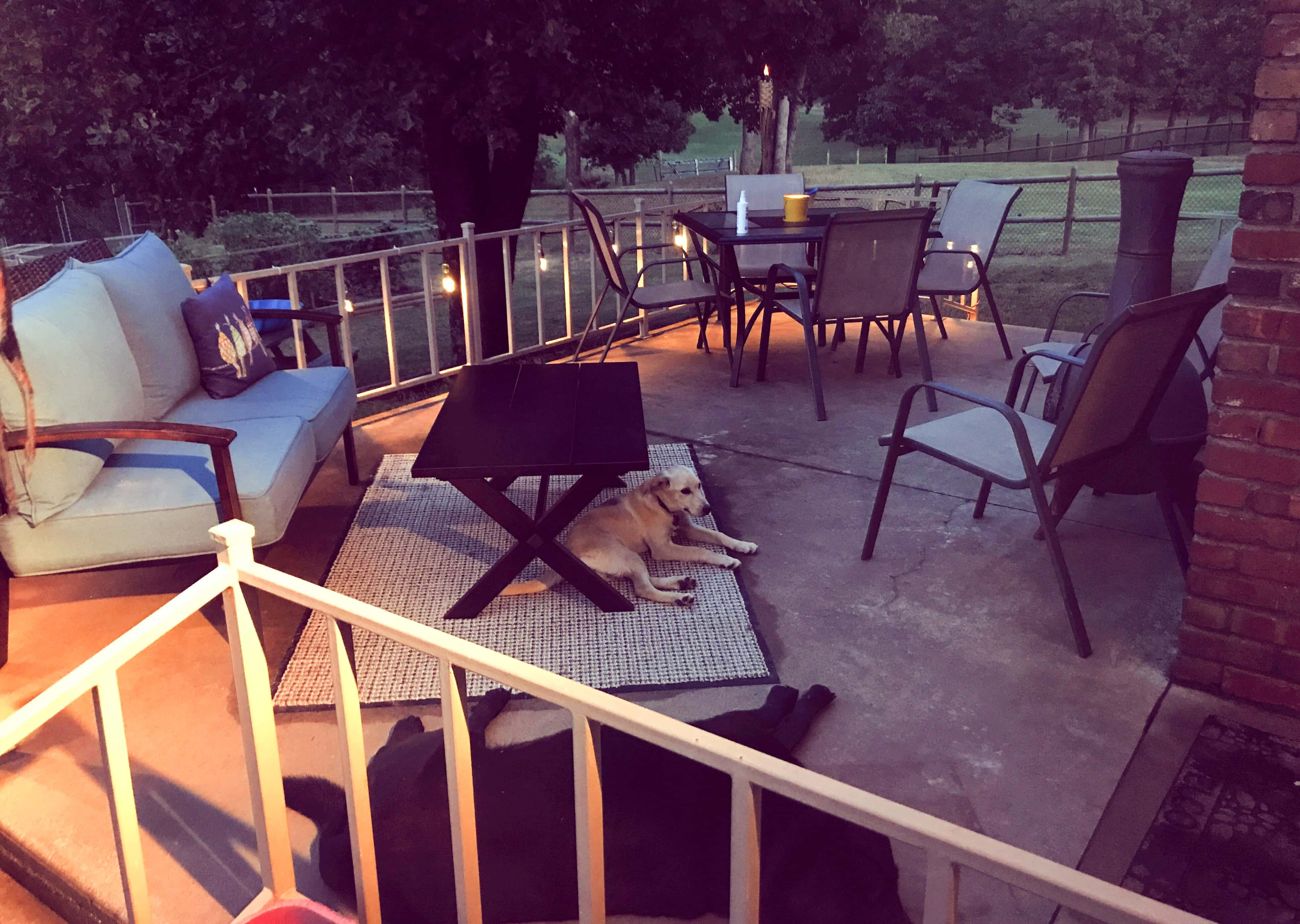 Bringing the Back Patio to Life