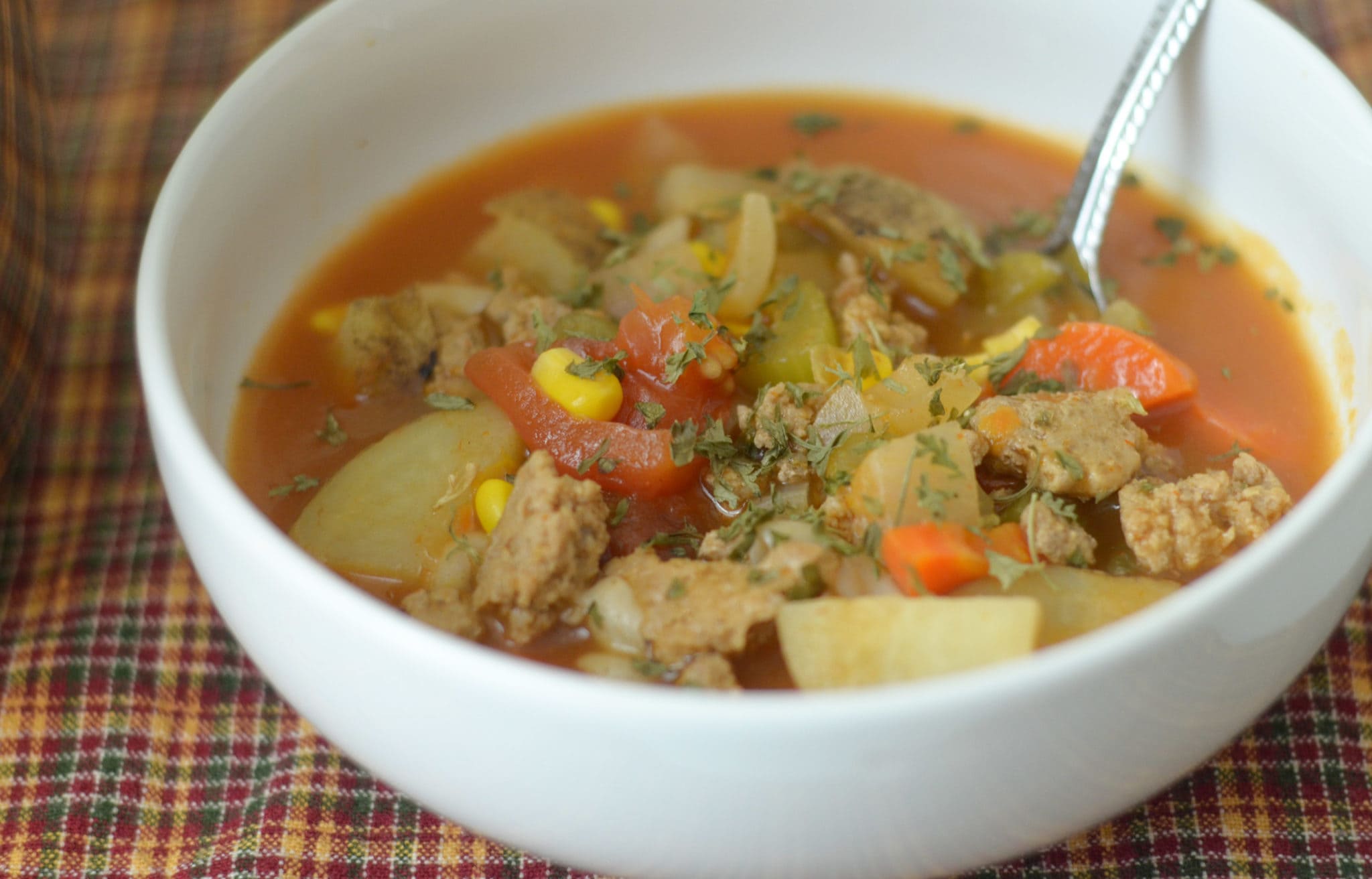 Instant Pot Vegetable Soup