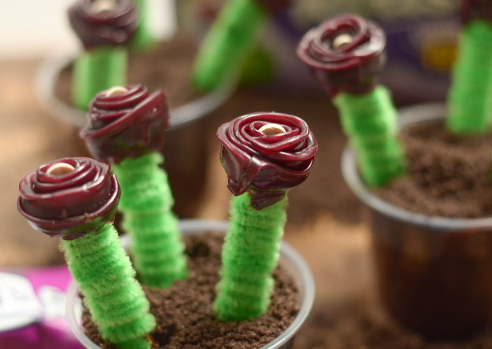 Fruit Roll Rose Cups