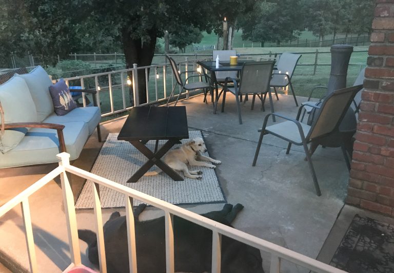 Bringing the Back Patio to Life