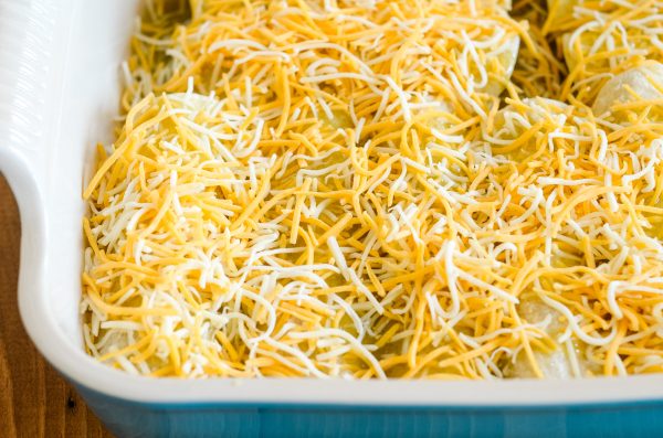 Cheesy Chicken Enchiladas