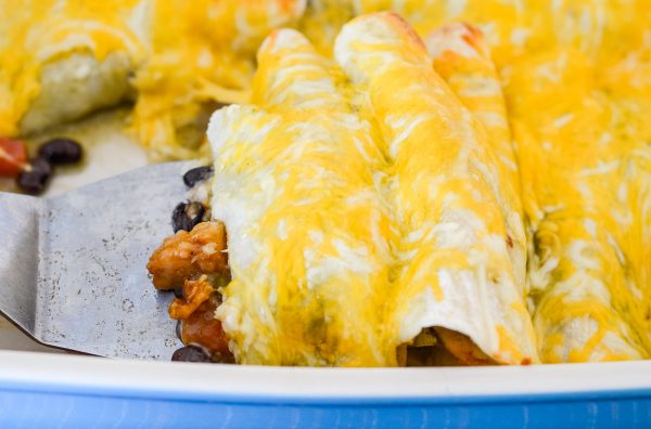 Cheesy Chicken Enchiladas