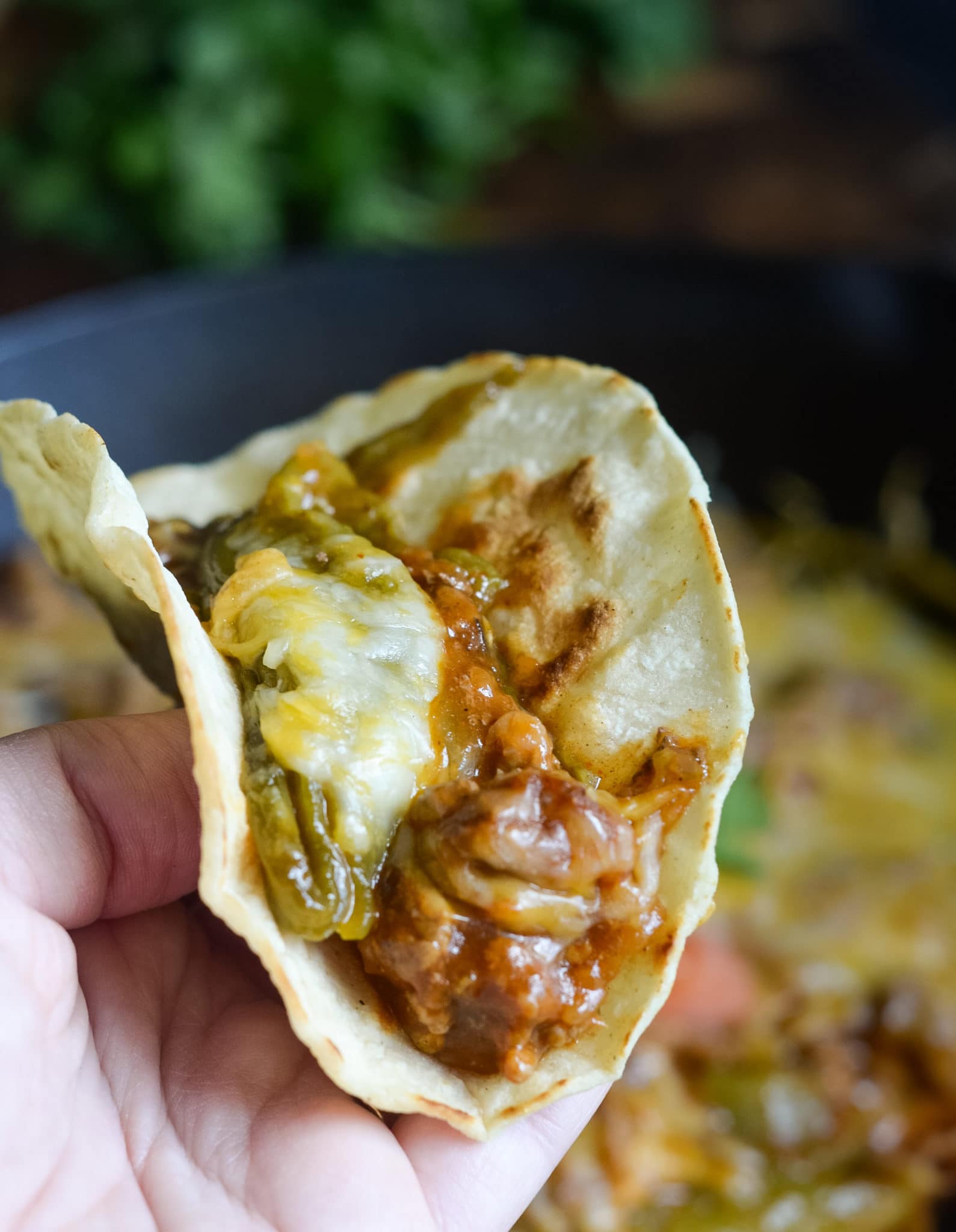 Hatch Chile Tacos with Roasted Hatch Chiles