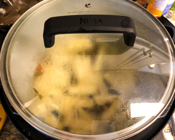 Ninja Foodi Chicken Noodle Soup