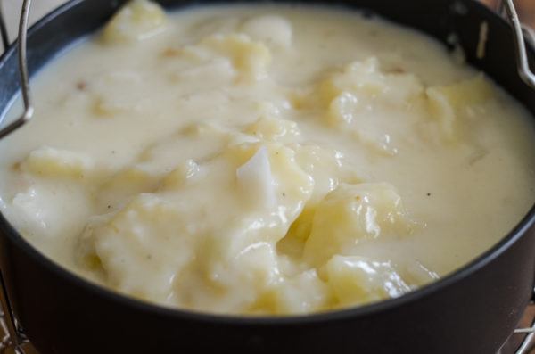 scalloped potatoes in the ninja foodi