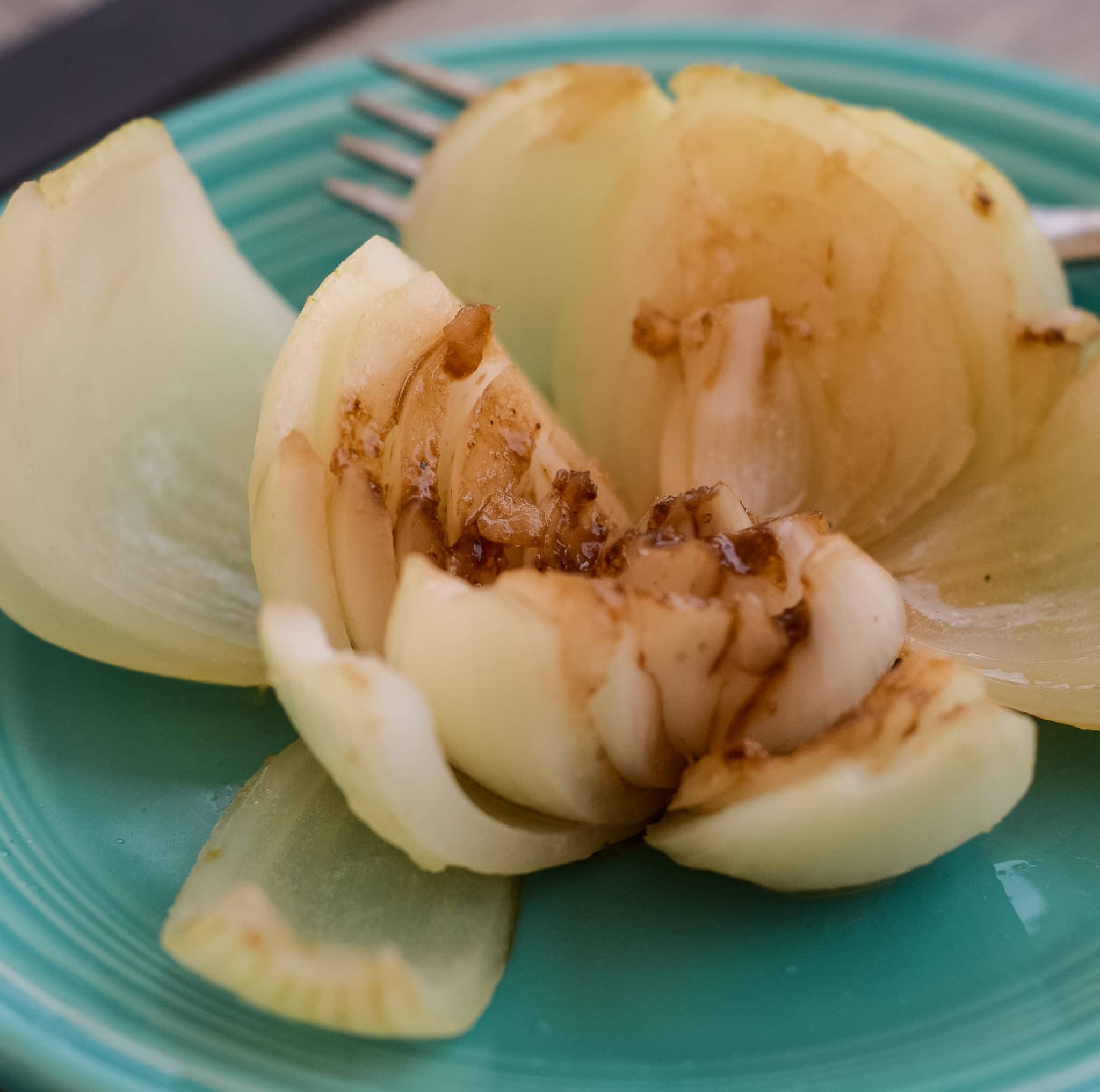 Ninja Foodi Vidalia Onions
