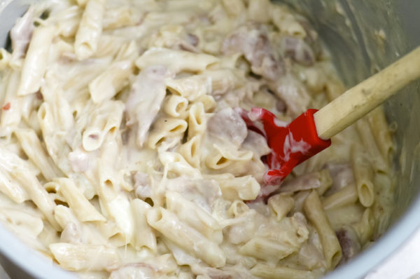 Ninja Foodi Chicken Alfredo