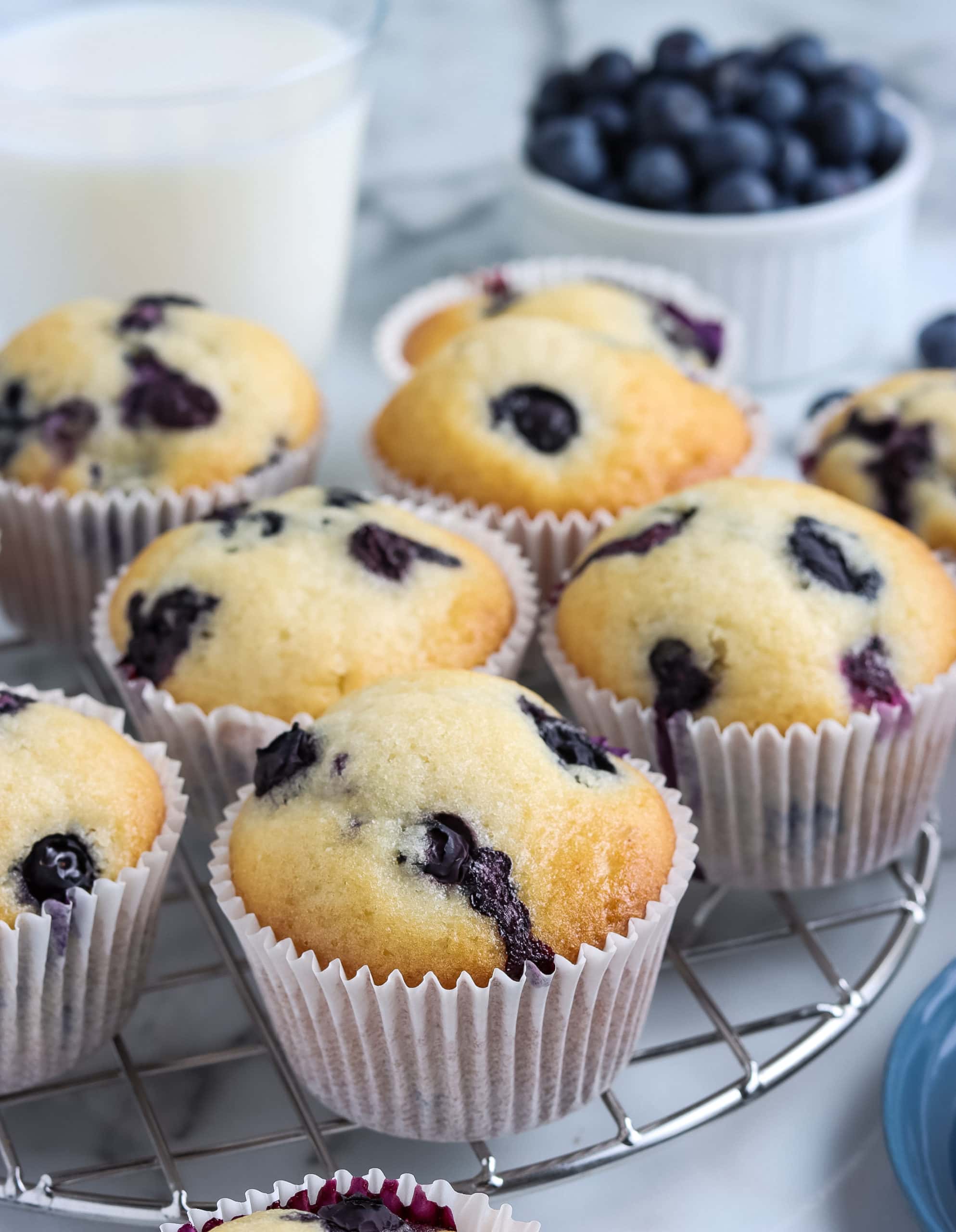 Gluten-Free Blueberry Muffins