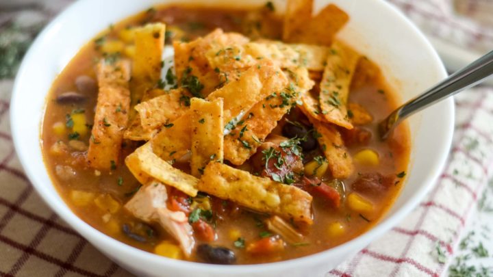 Image for Ninja Foodi Chicken Enchilada Soup