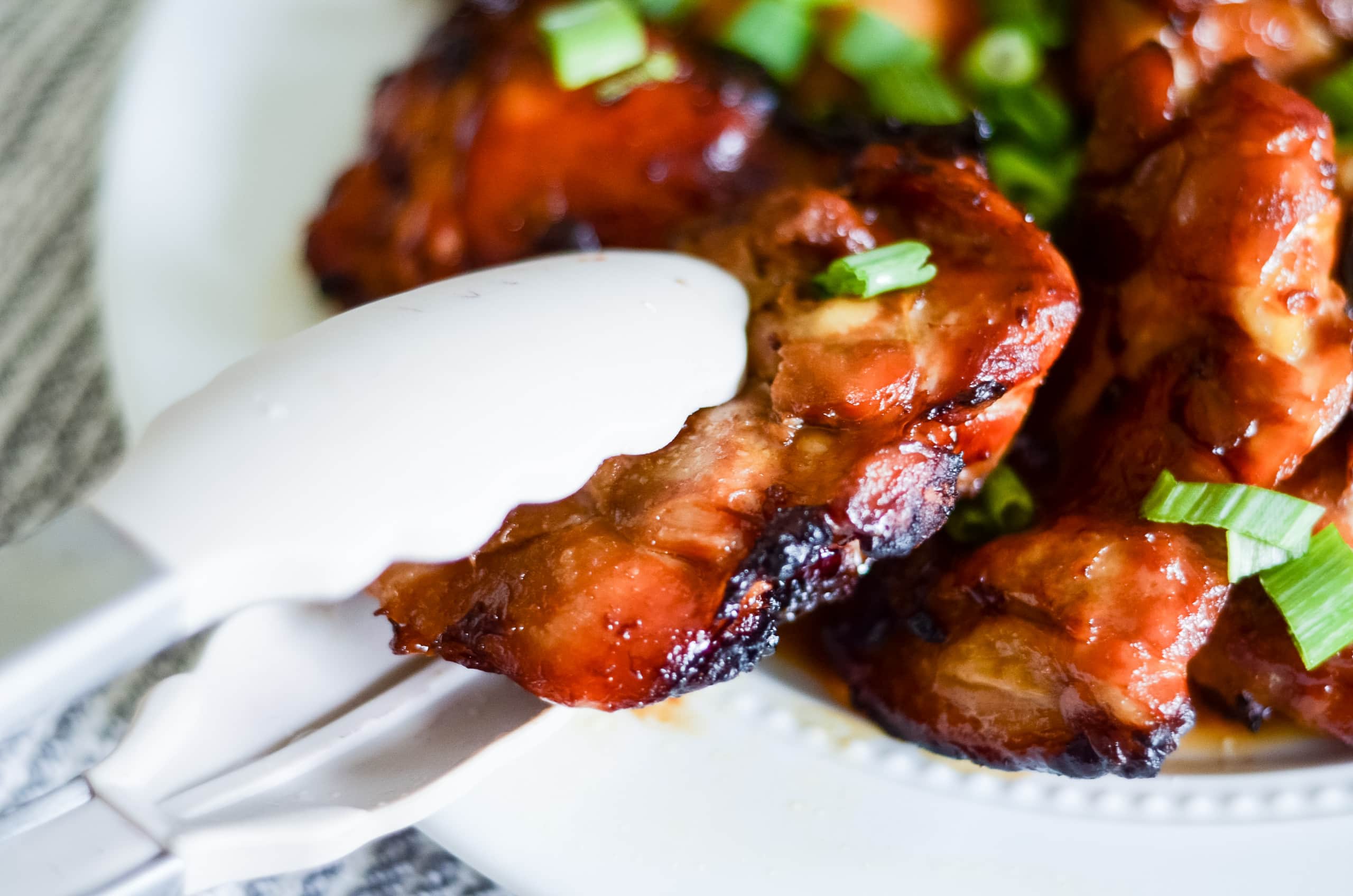Ninja Foodi Teriyaki Chicken