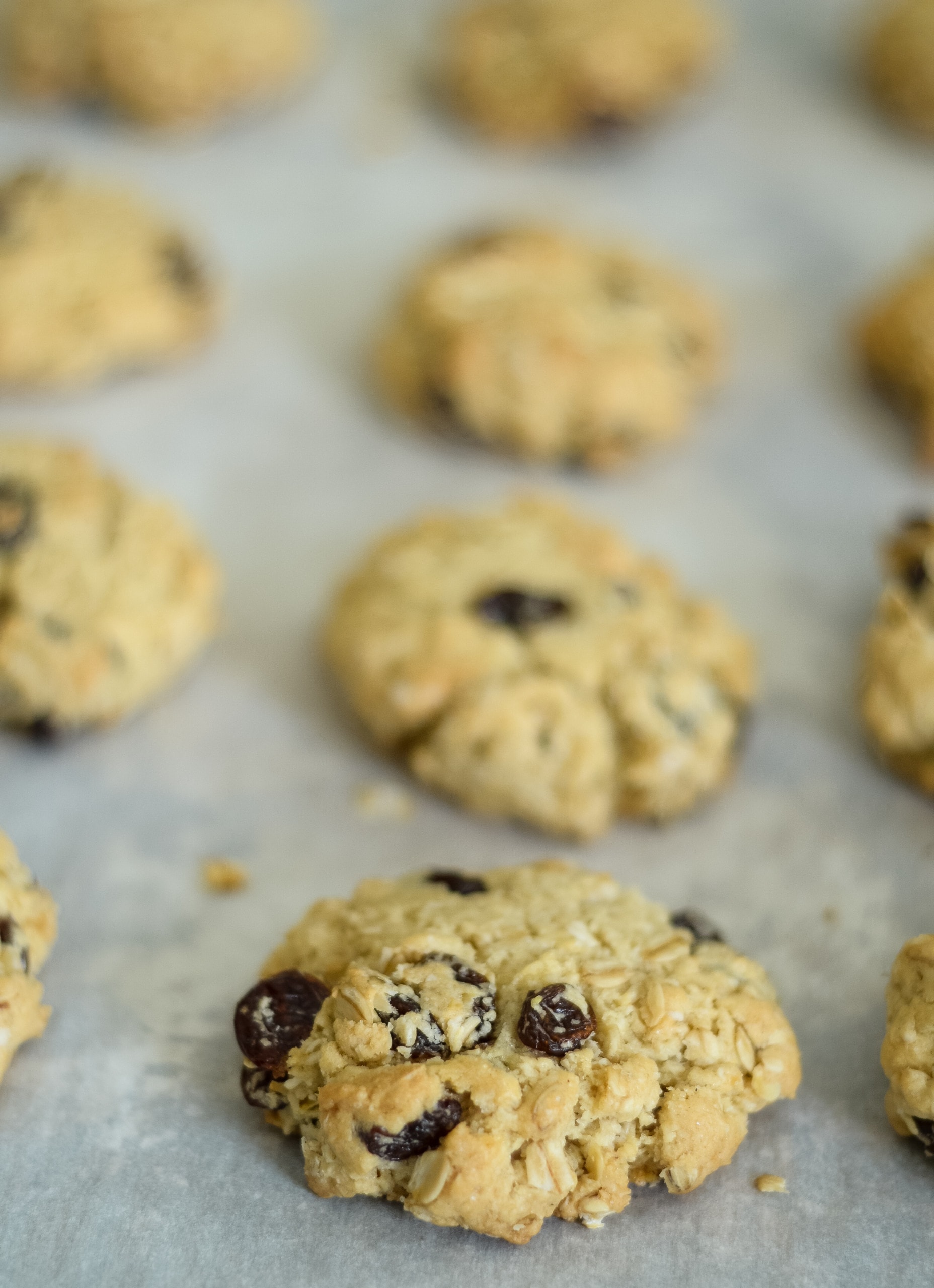Gluten Free Oatmeal Raisin Cookies