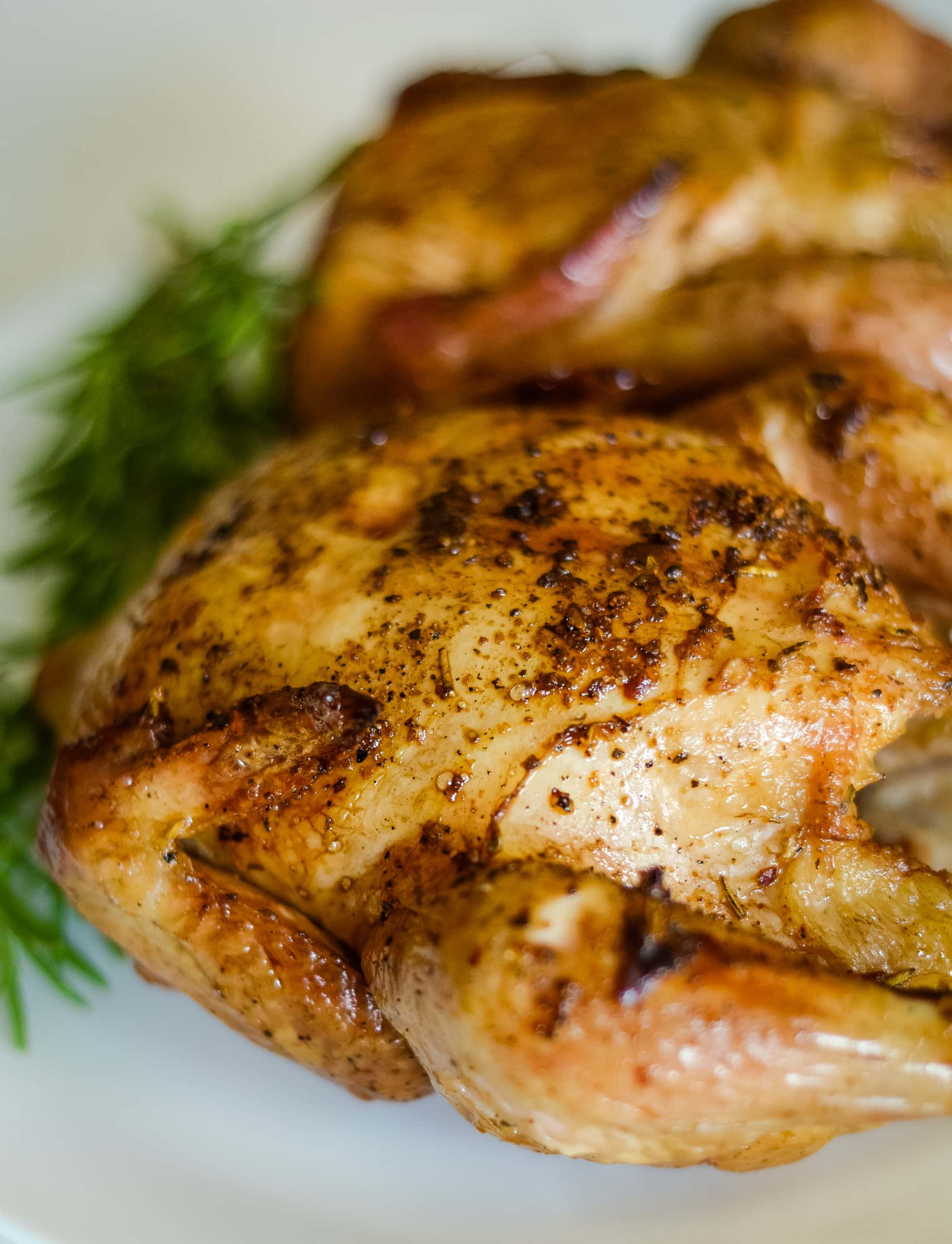 Pellet Grill Cornish Hens (Grilled Cornish Hens)