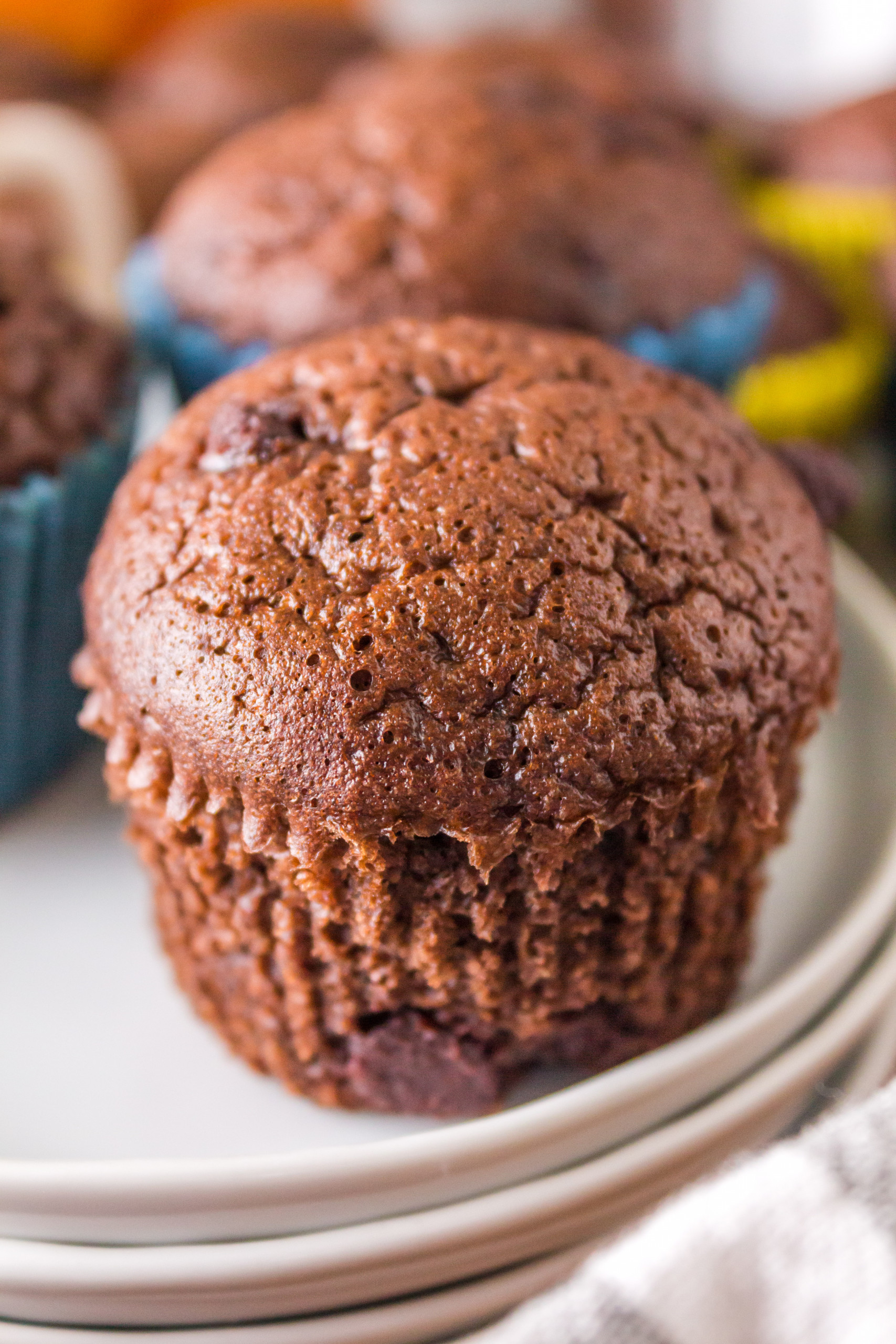 Ninja Foodi Chocolate Muffins