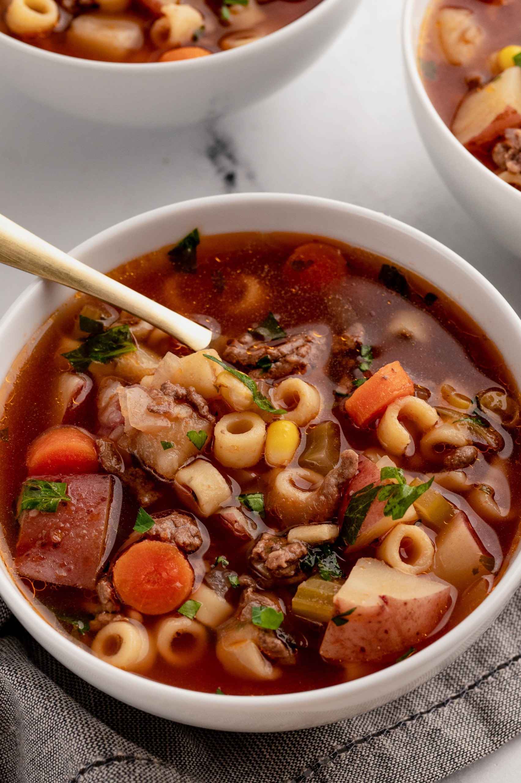 Instant Pot Vegetable Soup