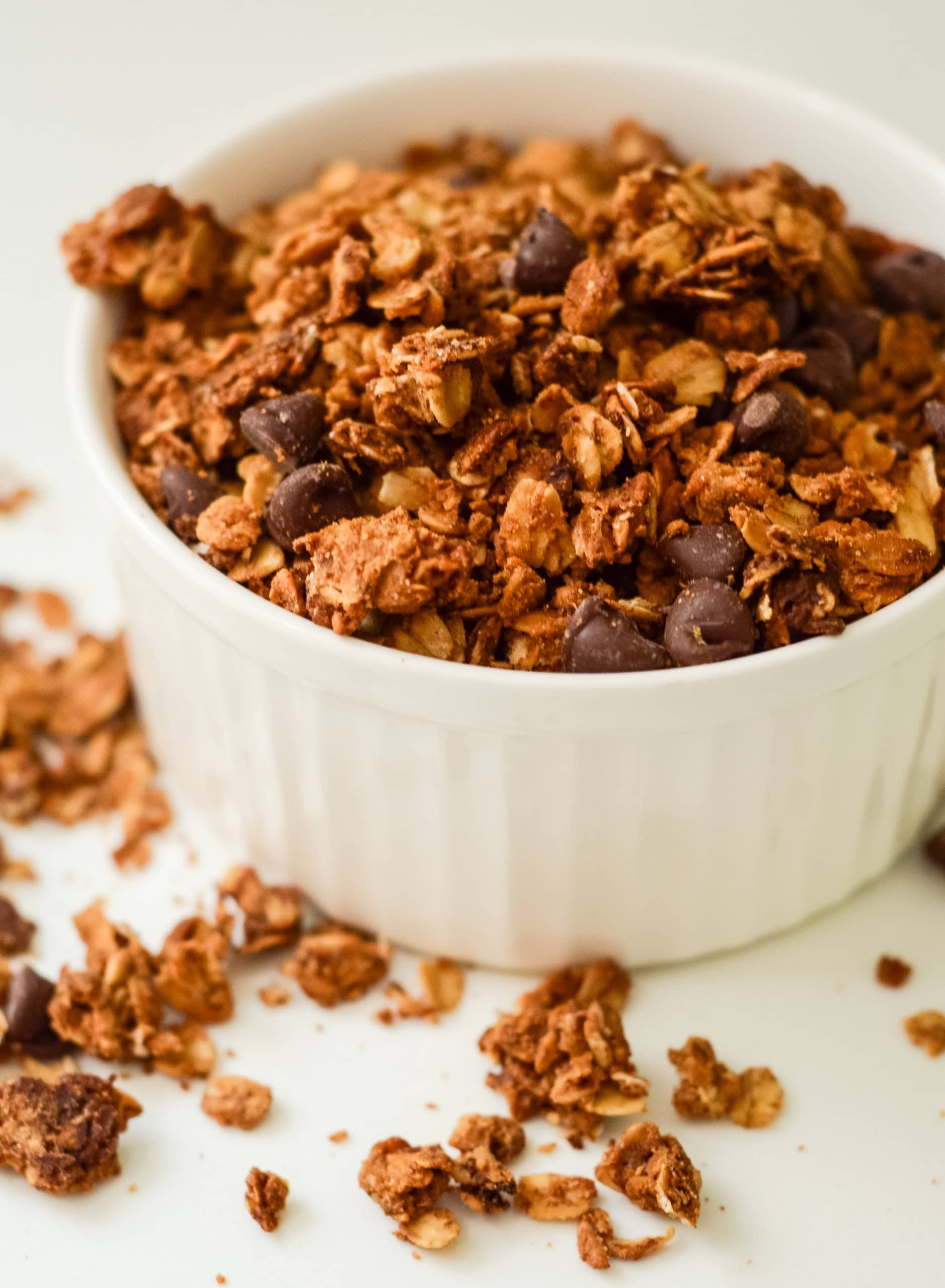 Gluten-Free Chocolate Chip and Oat Granola