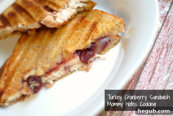 Close-up of a perfectly toasted Turkey Cranberry Sandwich